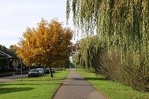 Huisarts in de Landgoederenbuurt van Almere