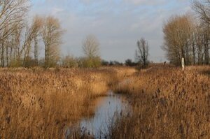 Huisarts in de Oostvaardersbuurt van Almere