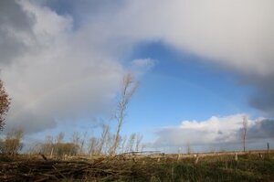 Huisarts in de Regenboogbuurt van Almere